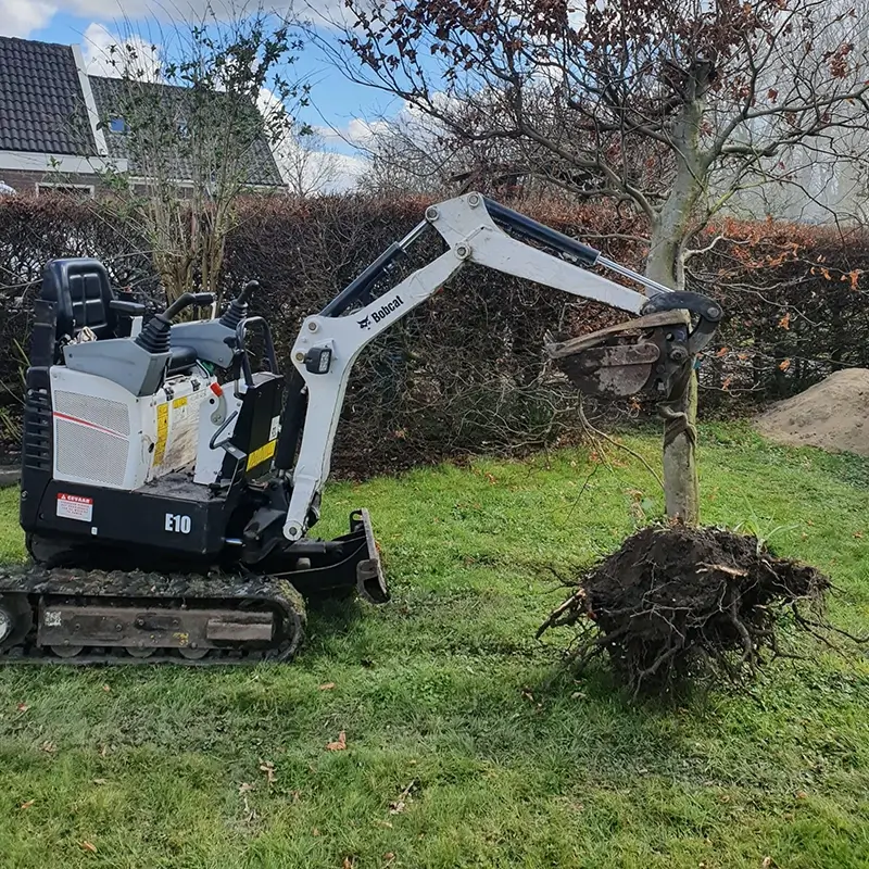Transport en materieel de mini die een boom vast heeft